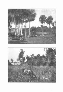 1909 Packard - El Toro-061.jpg